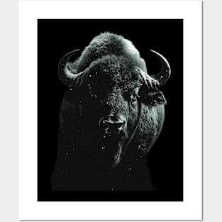 Buffalo Birth Miracles Posters and Art